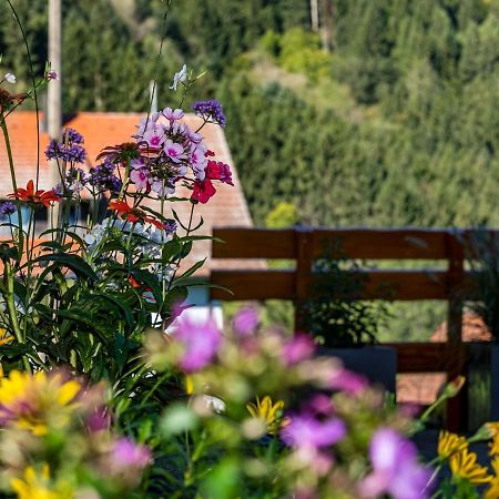 Ferienwohnung Morgensonne Вольфах Экстерьер фото